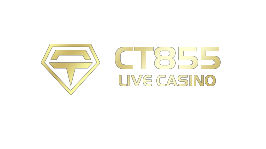 CT855 is One of the Casino Software Suppliers under GamingSoft's Vendor Database - GamingSoft