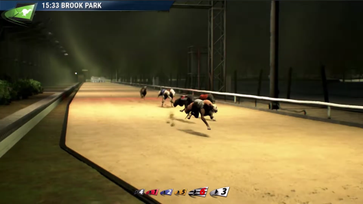 Virtual Greyhound Racing is One of the Virtual Sports Betting that Developed by our Vendor Partner Playtech - GamingSoft