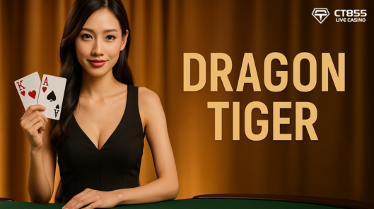 龙虎是一款真人娱乐城游戏由合作伙伴 CT855 所提供 - 乐游国际GamingSoft