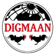 Digmaan 是其中一家列示在樂遊國際GamingSoft供應商數據庫裏的博弈軟件提供商 - 樂遊國際GamingSoft