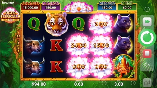 Tiger Jungle: Hold & Win is a Slot Game Provided by the Vendor Partner QTech - GamingSoft