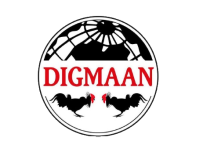 Digmaan is One of the Casino Software Suppliers under GamingSoft's Vendor Database - GamingSoft