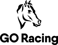 GO Racing is One of the Casino Software Suppliers under GamingSoft's Vendor Database - GamingSoft