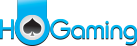 HoGaming  is One of the Casino Software Suppliers under GamingSoft's Vendor Database - GamingSoft