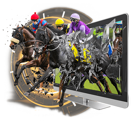 Go Racing - Live Racing is One of the Casino Software Suppliers under GamingSoft's Vendor Database - GamingSoft
